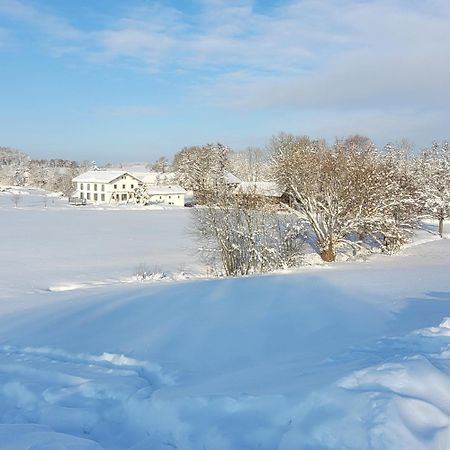 Ferienwohnung Bergmaier บัดเบียร์นบาค ภายนอก รูปภาพ