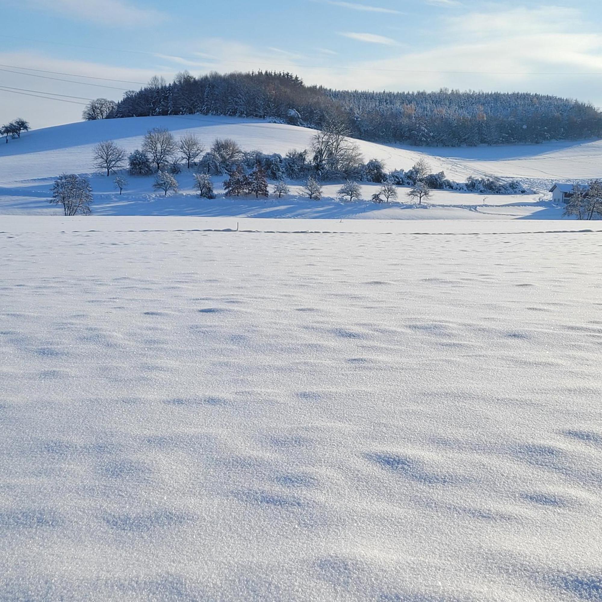 Ferienwohnung Bergmaier บัดเบียร์นบาค ภายนอก รูปภาพ